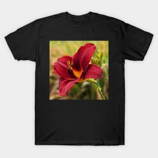 Red Lily 1 T-Shirt